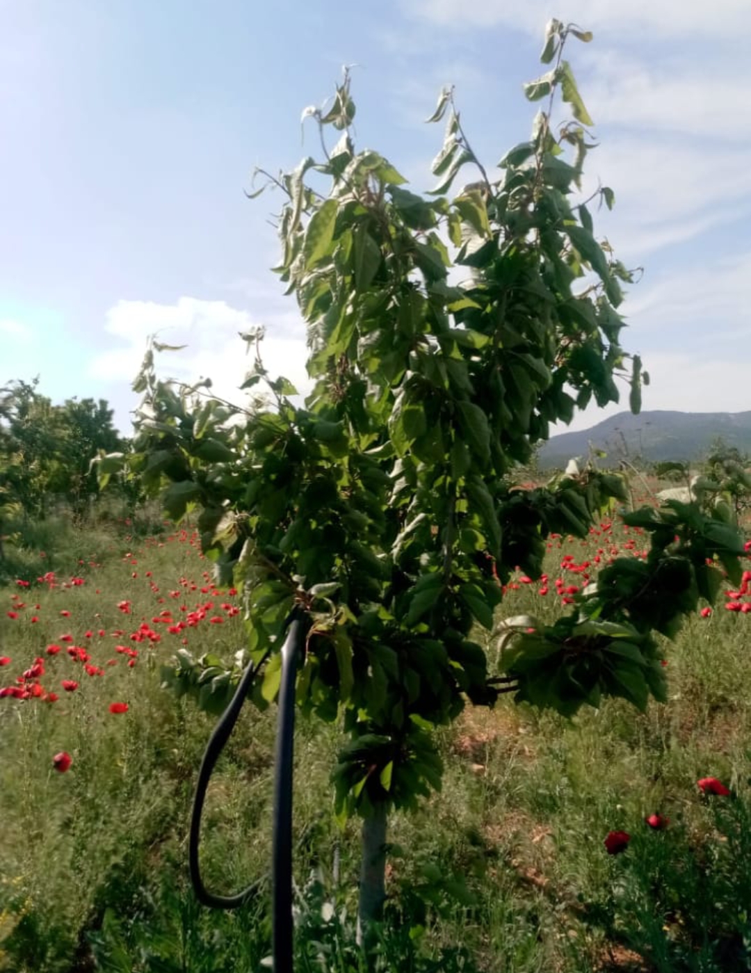 Emlak Fotoğraf