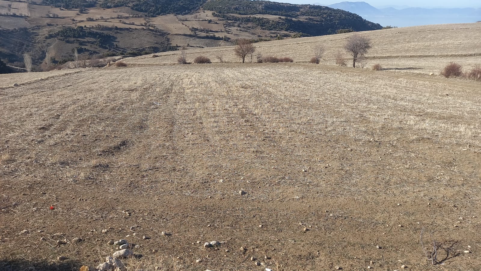 Emlak Fotoğraf