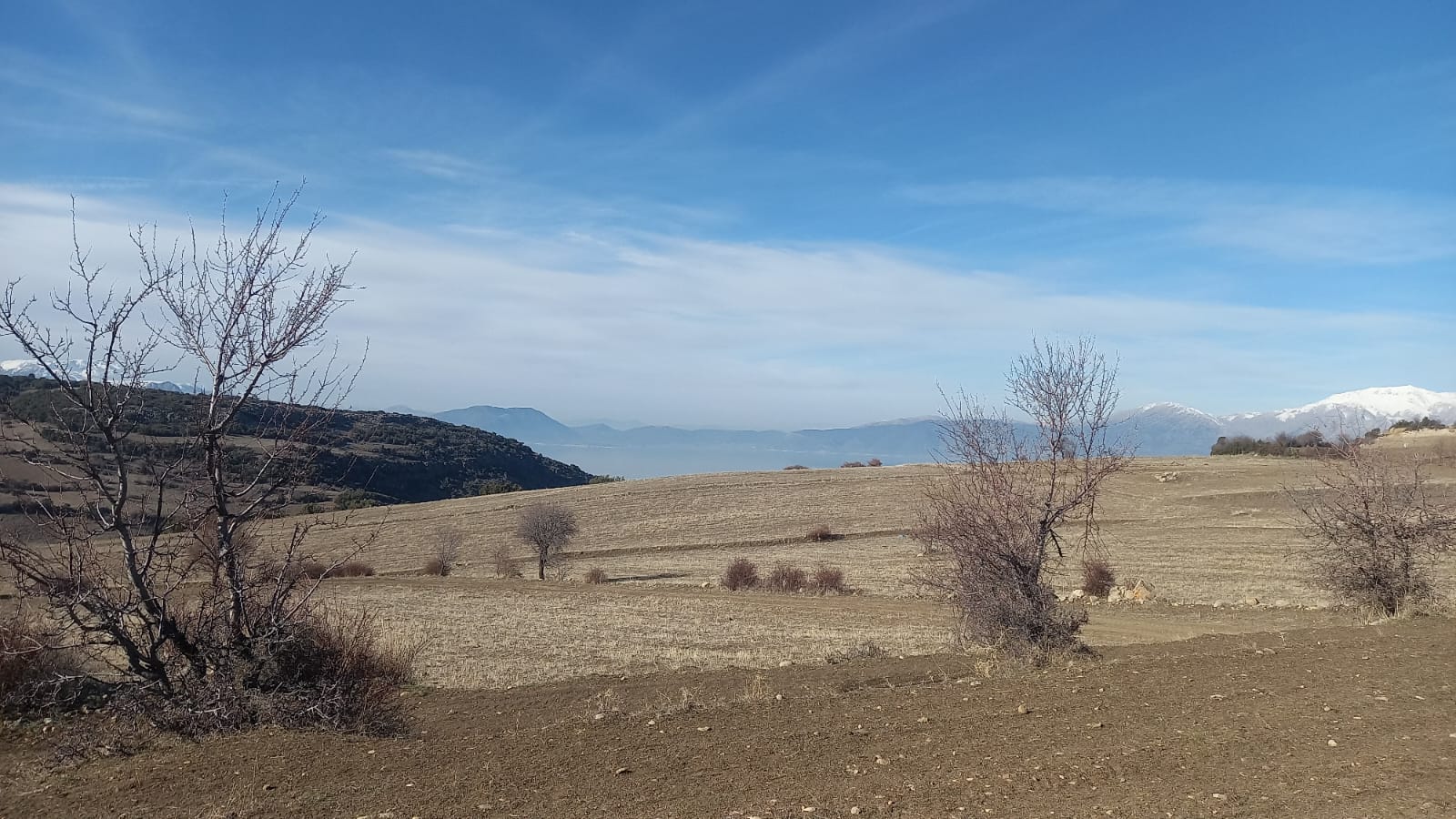 ISPARTA GELENDOST YEŞİLKÖY'DE KÖY İÇİ TARLA